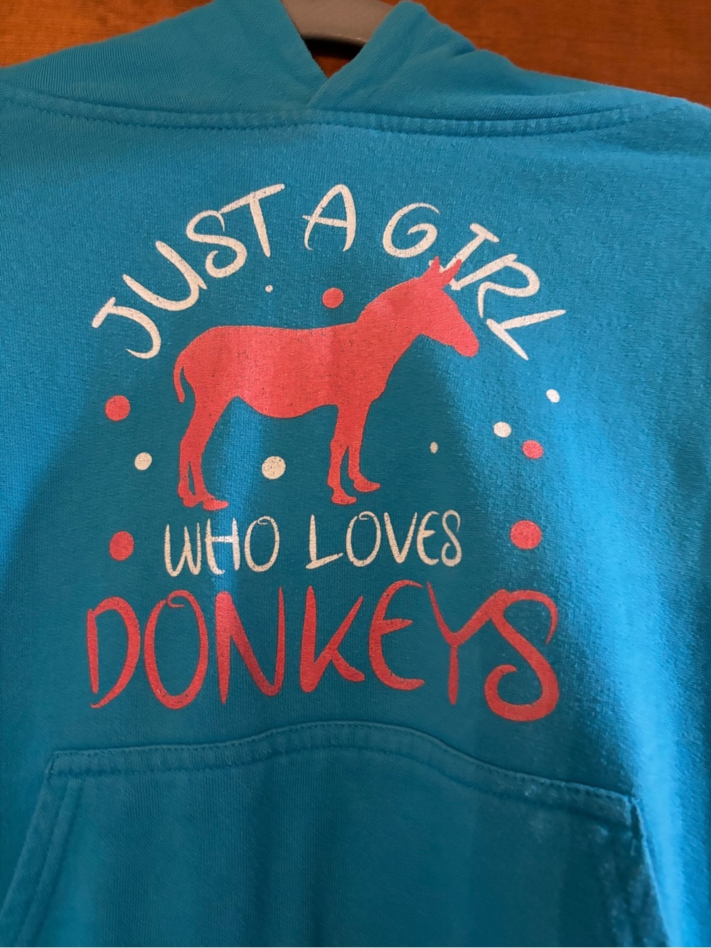 Girls' Teal Hoodie with Pink Donkey Graphic